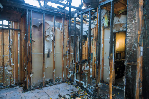 Professional Smoke Damage Removal technician working in Mount Zion, GA